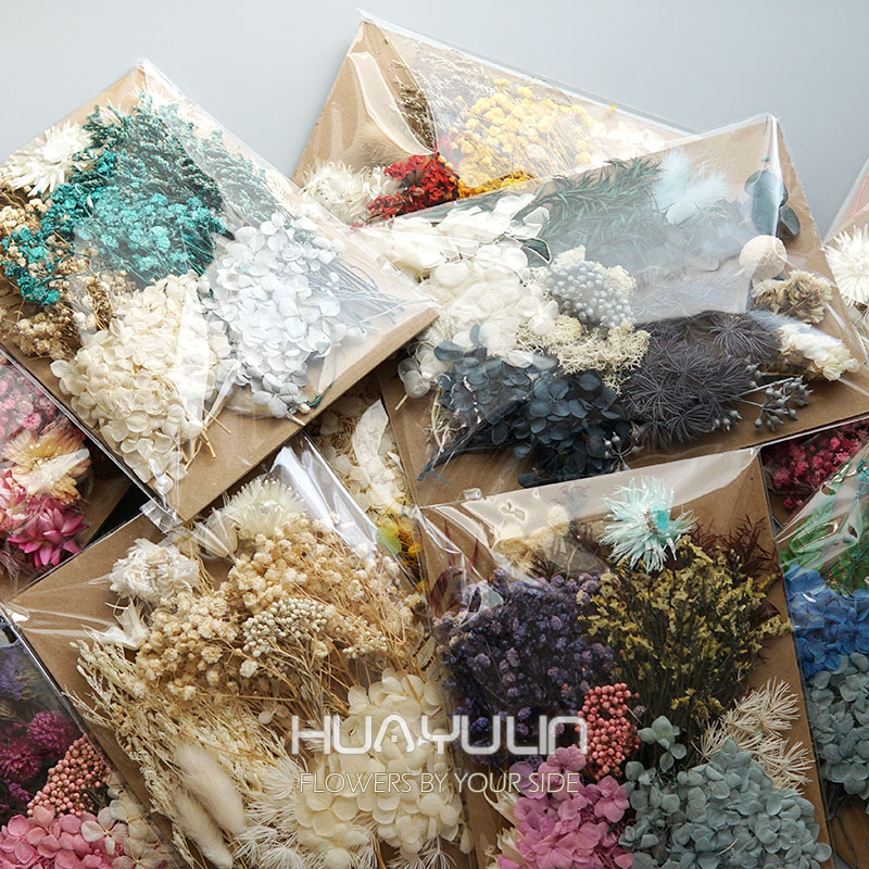 Dried Flower Bulk - 1 Pack Artificial Plants Dried Real