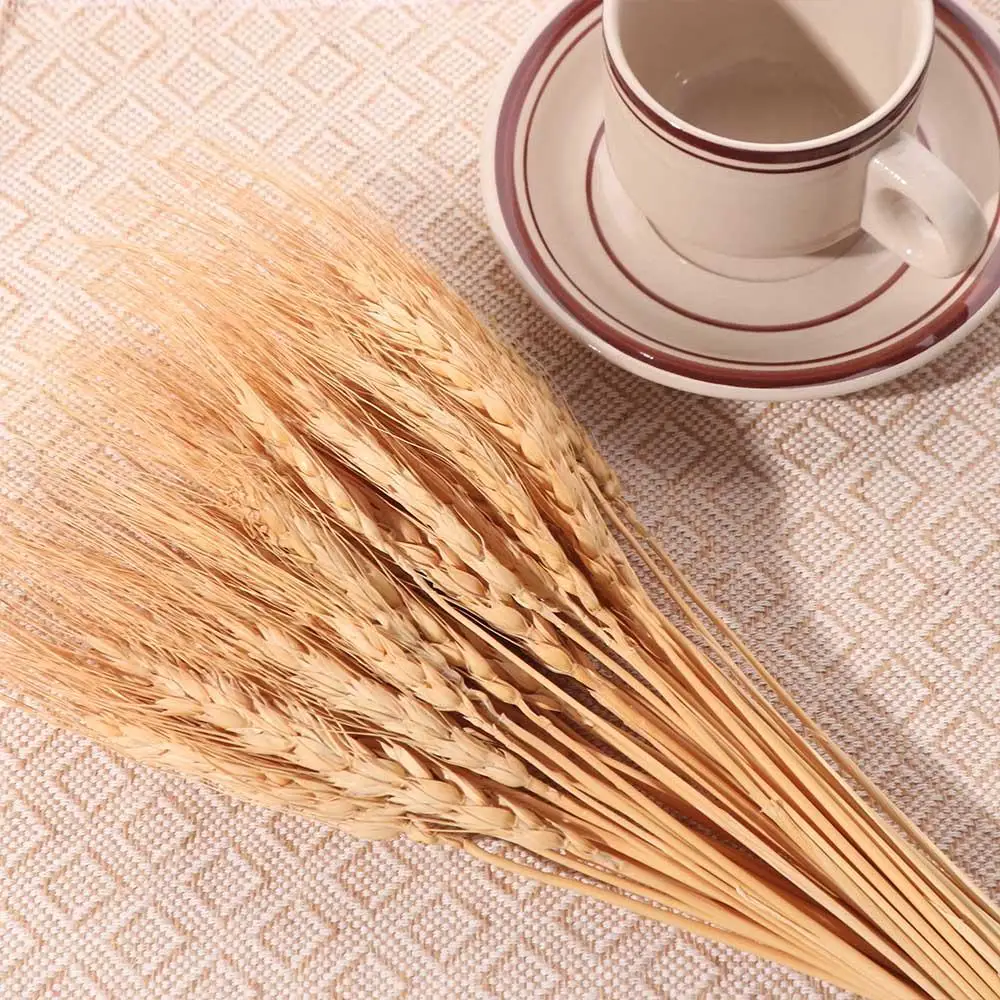 50pcs Artificial Flower Natura - Dried Flower Bulk review and price