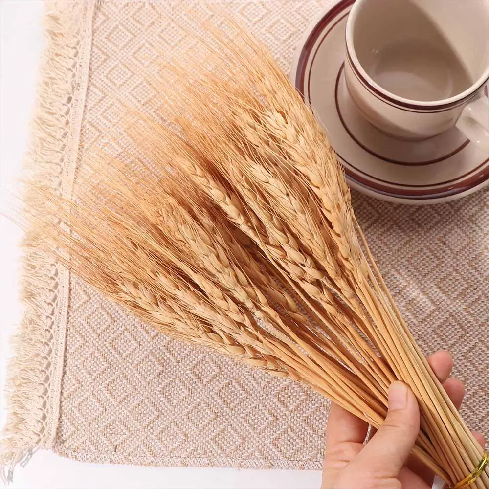 50pcs Artificial Flower Natura - Dried Flower Bulk review and price