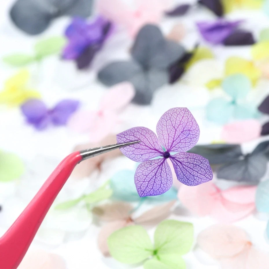 1Box Real Dried Flower Nail De - Dried Flower Bulk review and price
