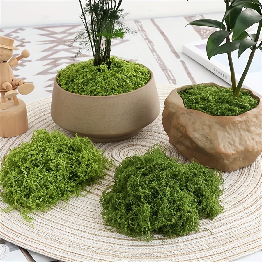 1pack Artificial Fake Moss, 1. - Terrarium Moss Art review and price