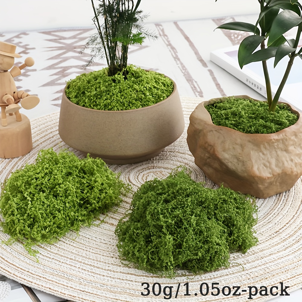 1pack Artificial Fake Moss, 1. - Terrarium Moss Art review and price
