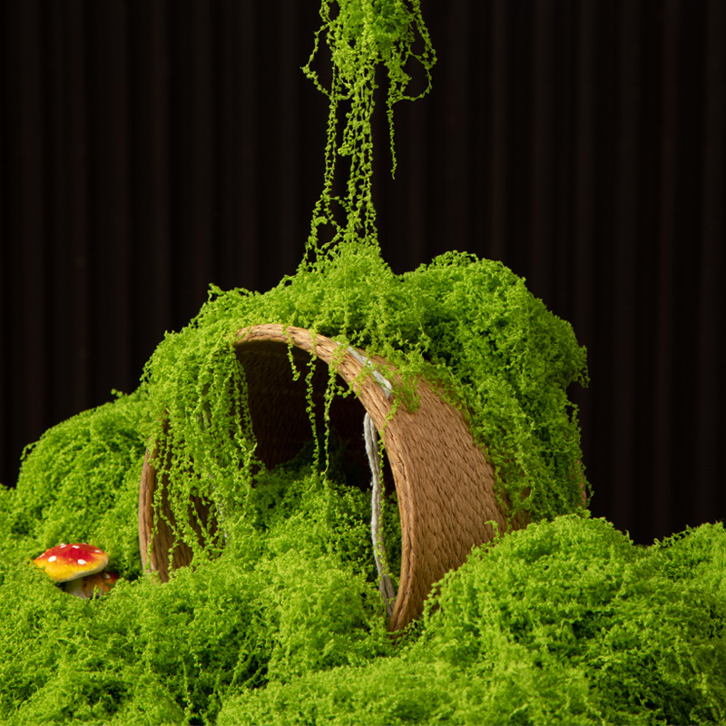 200g Eternal Life Moss DIY Cra - Terrarium Moss Art review and price