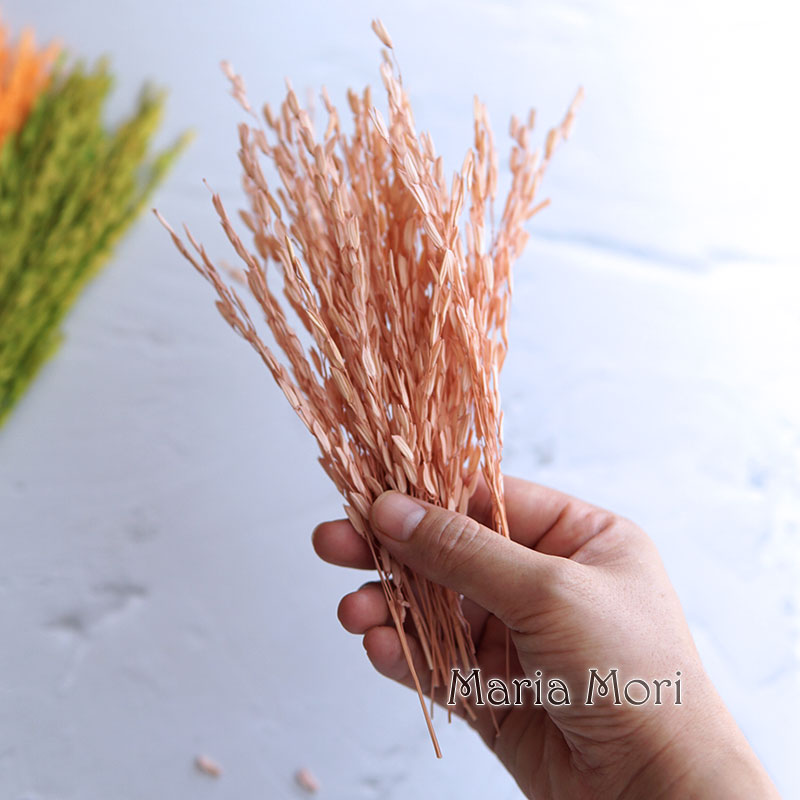 5g/Broomcorn Dyed Dried Nature - Dried Flower Bulk review and price