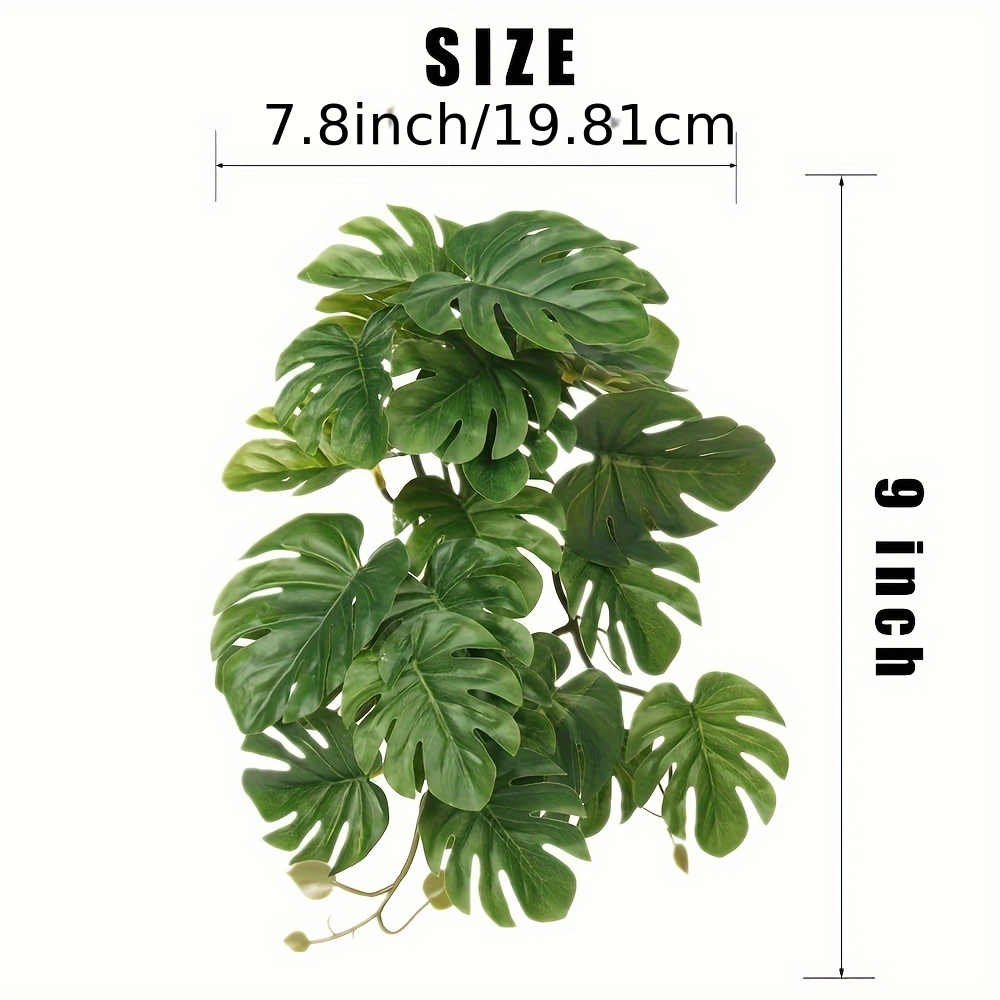 Reptile Plants for Terrarium A - Terrarium Moss Art review and price