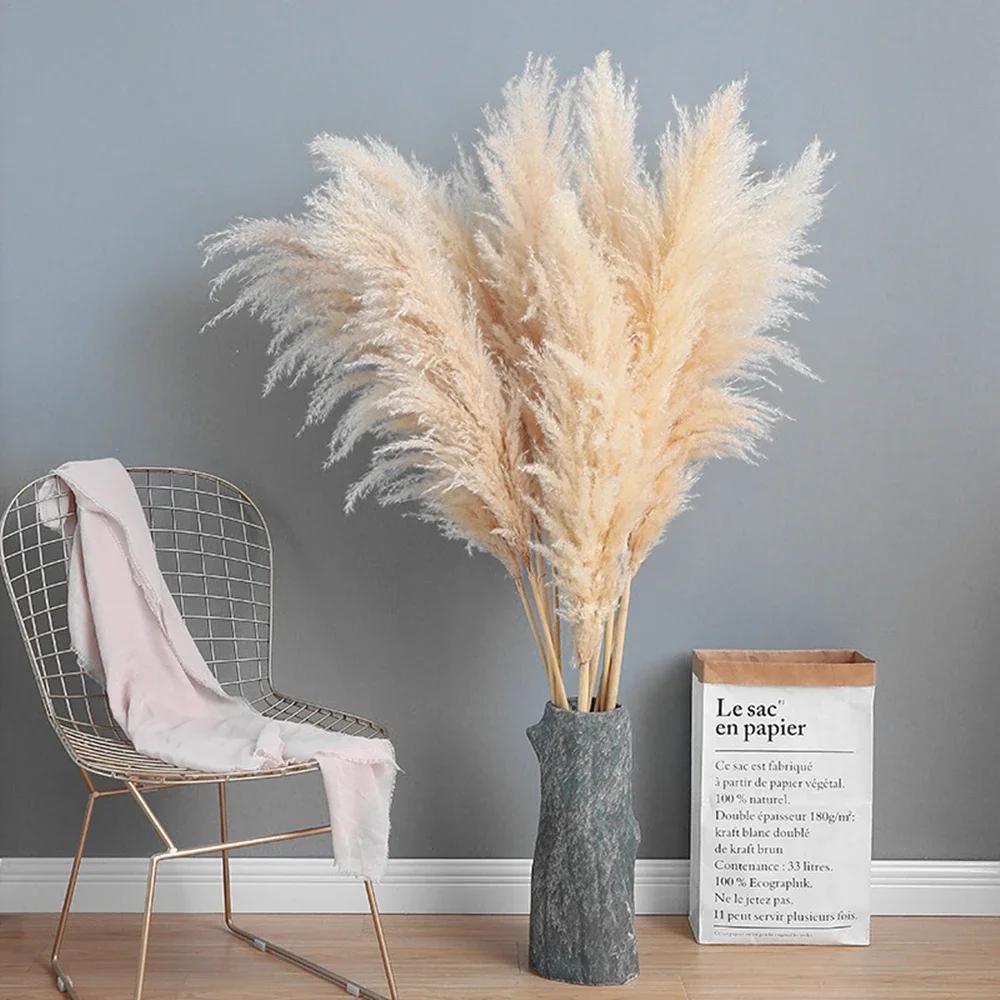 120cm - 130cm Fluffy Large Pam - Dried Flower Bulk review and price