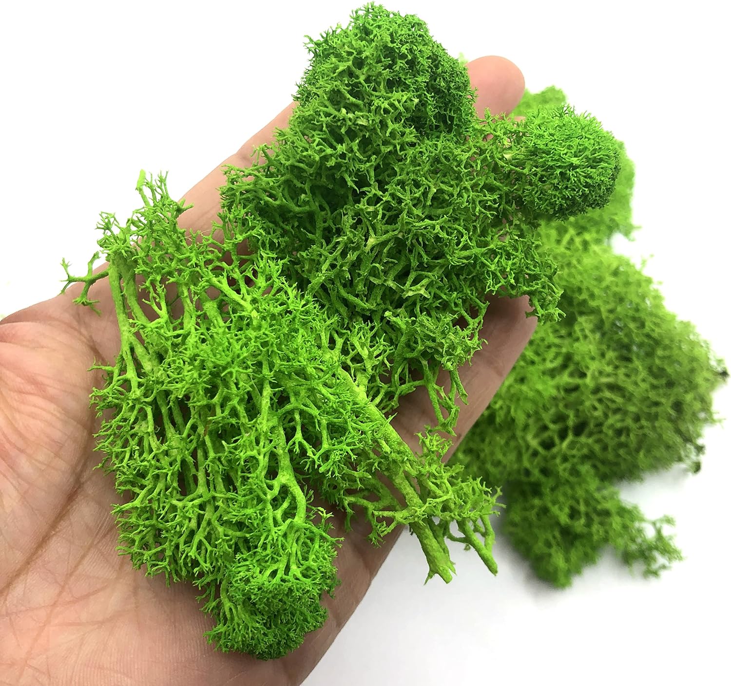 200g Artificial Green Plants M - Terrarium Moss Art review and price