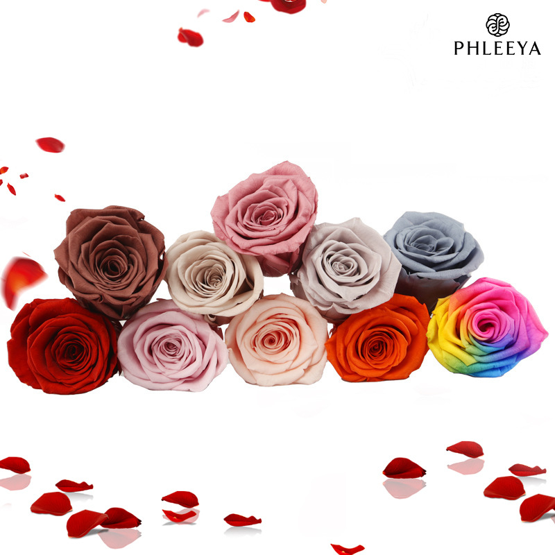 6pcs Eternal Rose Flower Heads - Dried Flower Bulk review and price