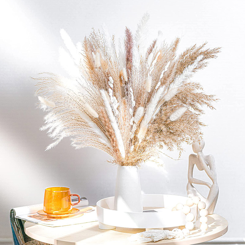 60-100PCS Natural Dried Pampas - Dried Flower Bulk review and price