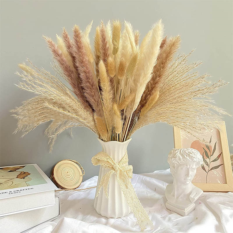 60-100PCS Natural Dried Pampas - Dried Flower Bulk review and price