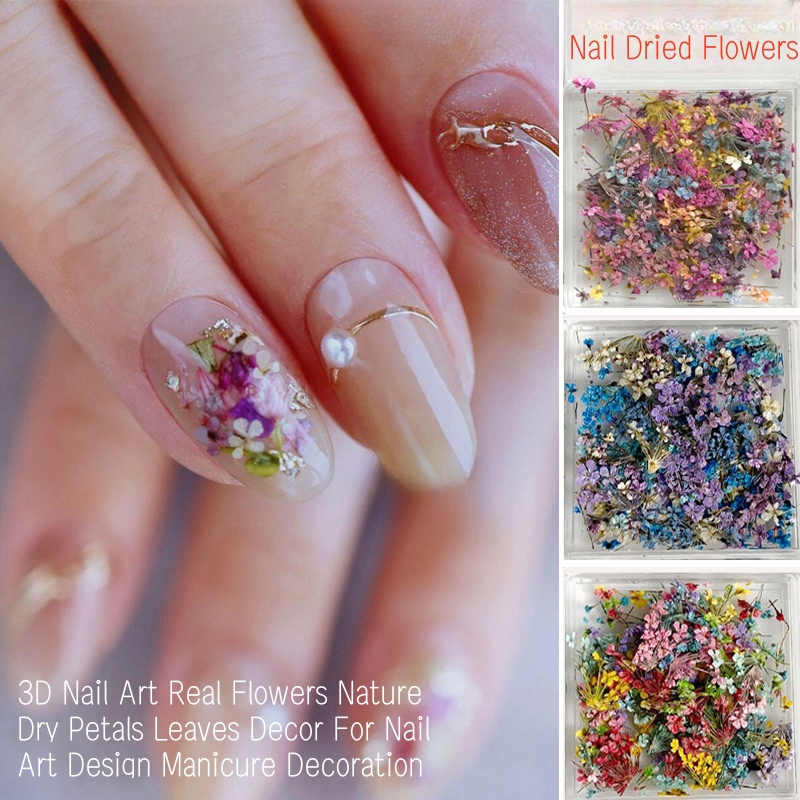 Mixed Small Dried Flowers Nail - Dried Flower Bulk review and price
